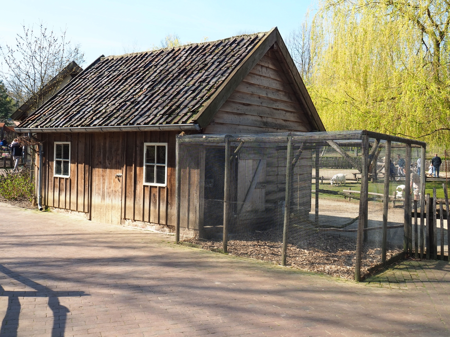 Traditional Limburg farm yard - Chicken coop and aviary, 2019-03-30