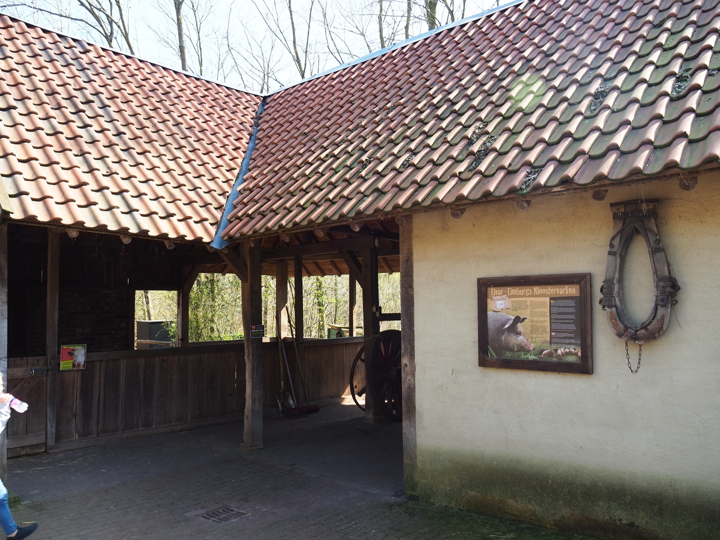 Traditional Limburg farm yard - Cow and pig barn, 2019-03-30