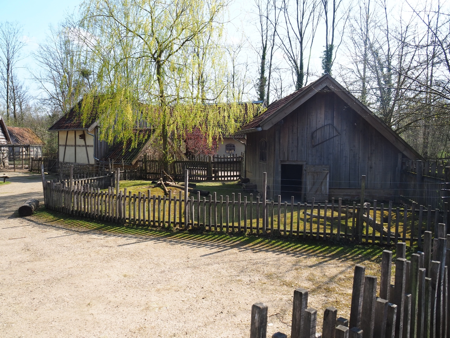 Traditional Limburg farm yard - Domestic guinea pig and rabbit yard and barn, 2019-03-30