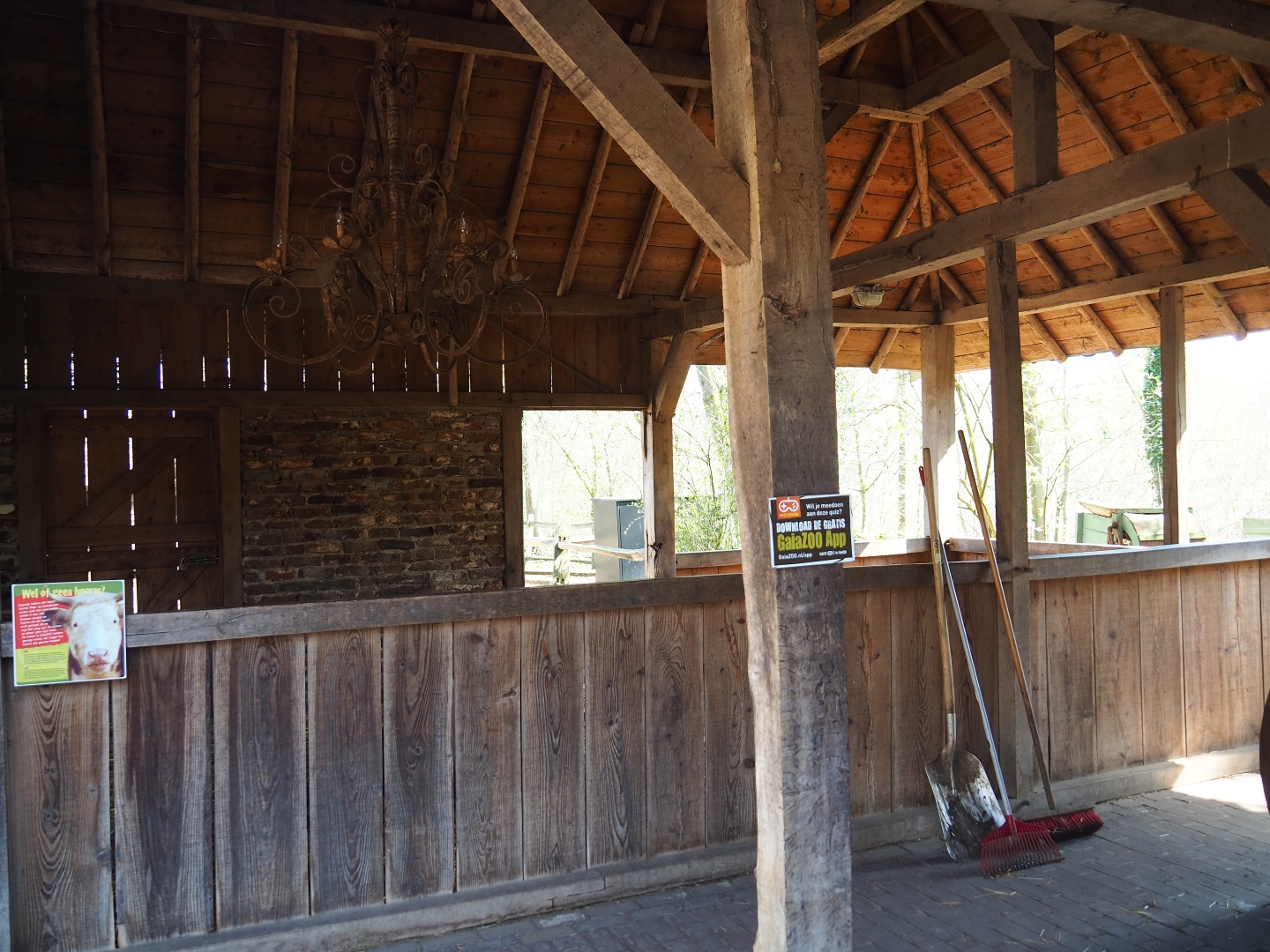 Traditional Limburg farm yard - Dutch belted cow stable, 2019-03-30