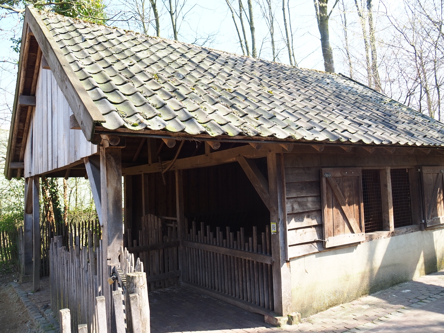 Traditional Limburg farm yard - Miniature donkey barn, 2019-03-30