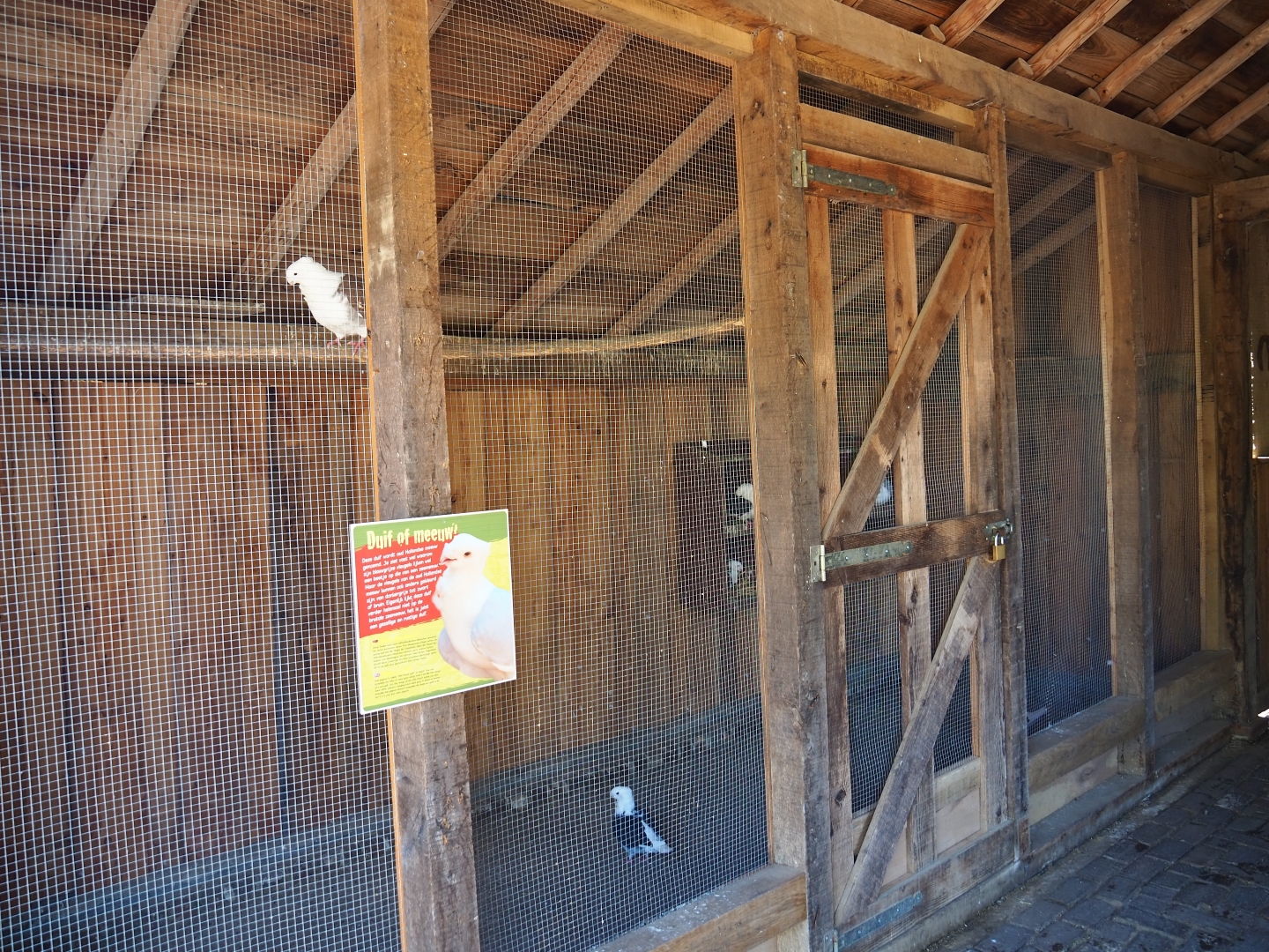 Traditional Limburg farm yard - Old Dutch gull aviaries, 2019-03-30