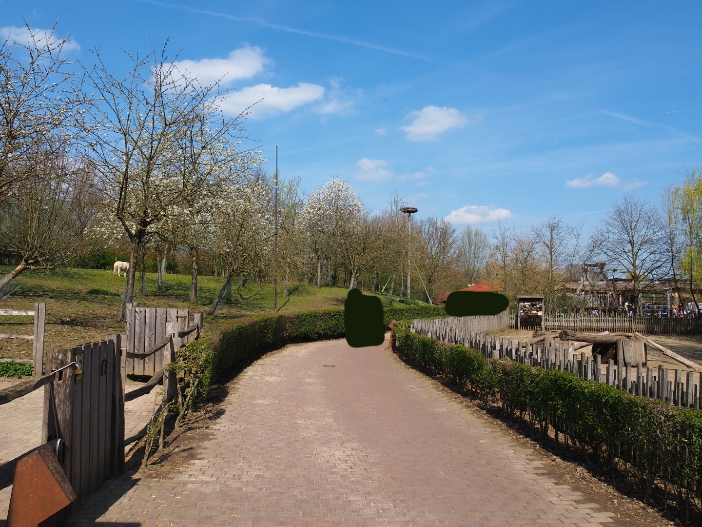 Traditional Limburg farm yard - Pathway between Shetland pony paddock and petting zoo paddock, 2019-03-30