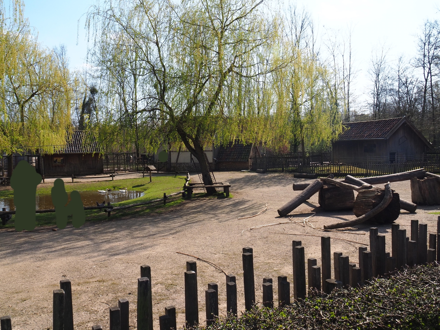 Traditional Limburg farm yard - Petting zoo paddock, 2019-03-30