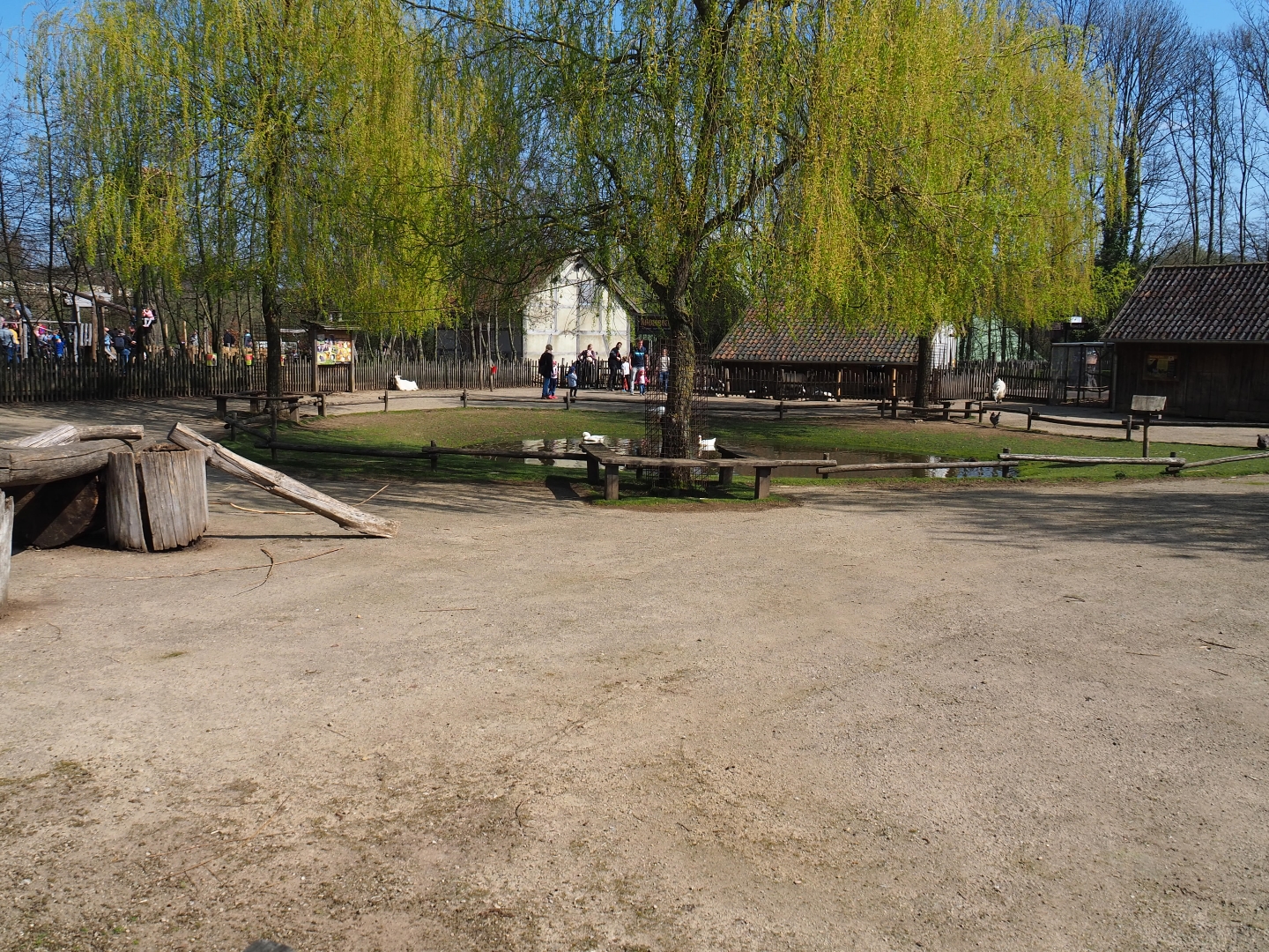 Traditional Limburg farm yard - Petting zoo paddock, 2019-03-30