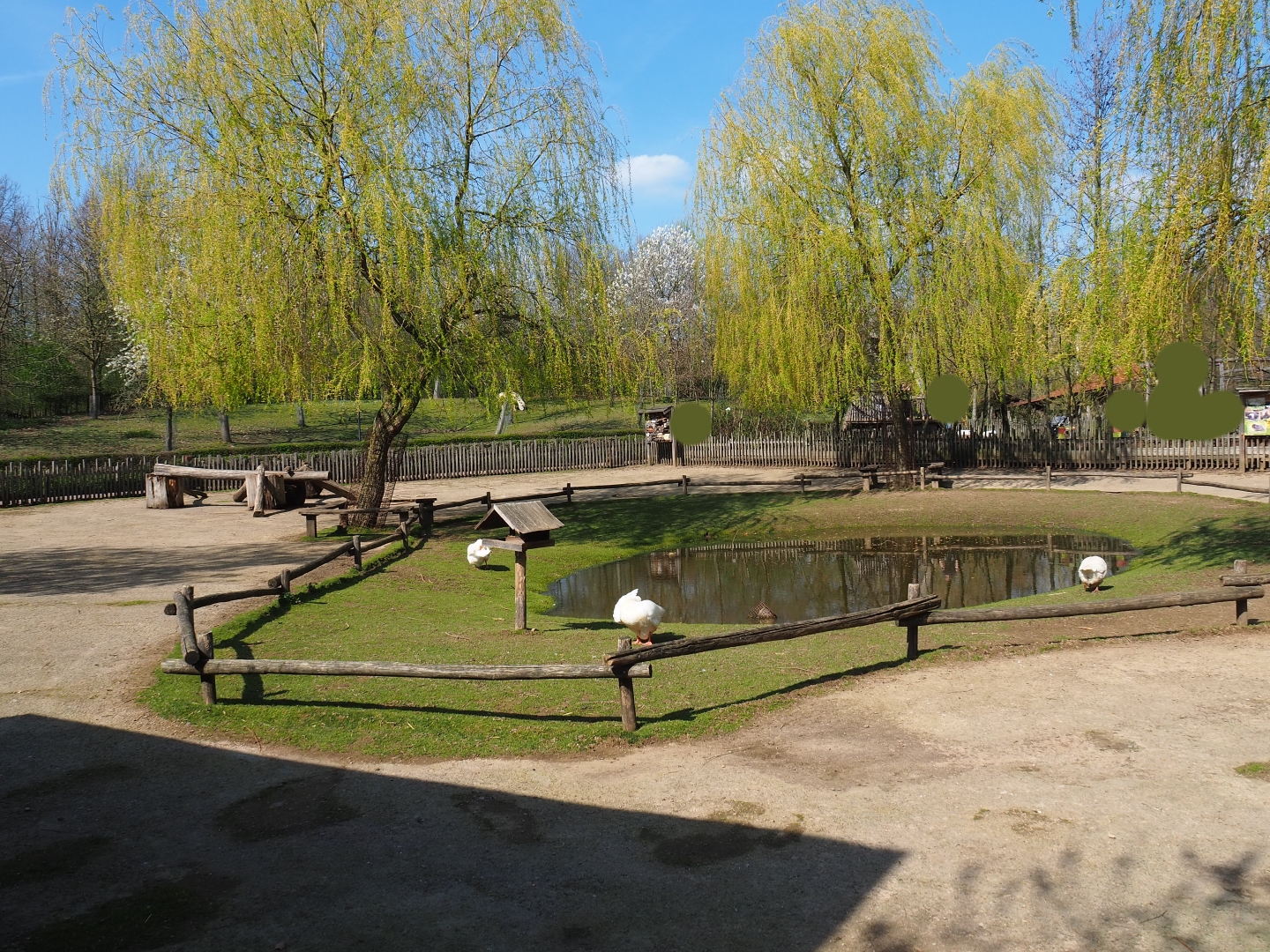 Traditional Limburg farm yard - Petting zoo paddock, 2019-03-30