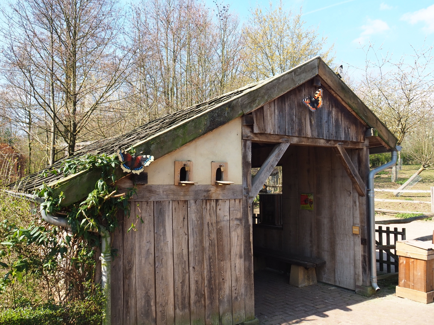Traditional Limburg farm yard - Pigeon and pony barn, 2019-03-30