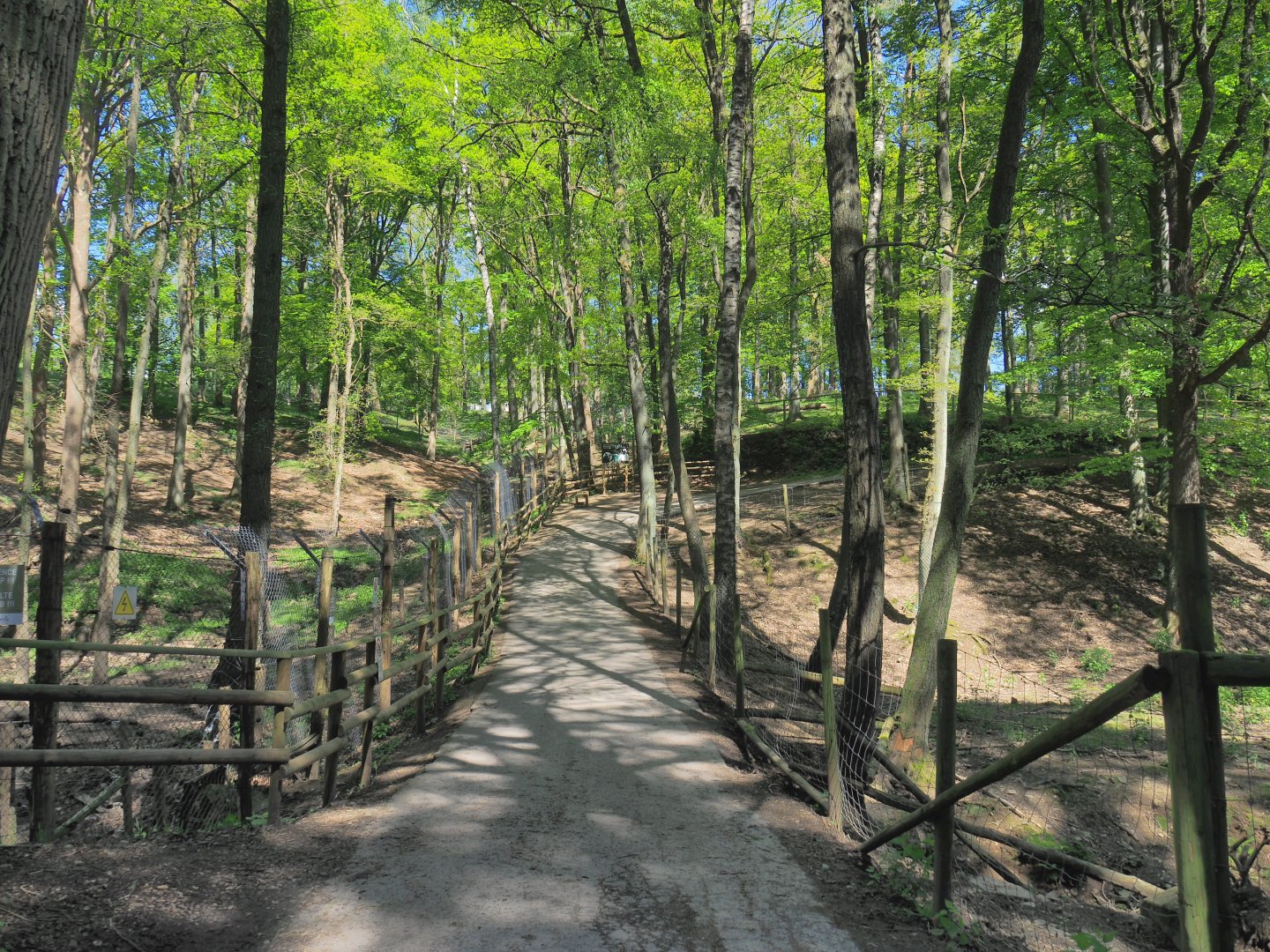 Trail alongside the American black bear exhibit, 2021-05-29