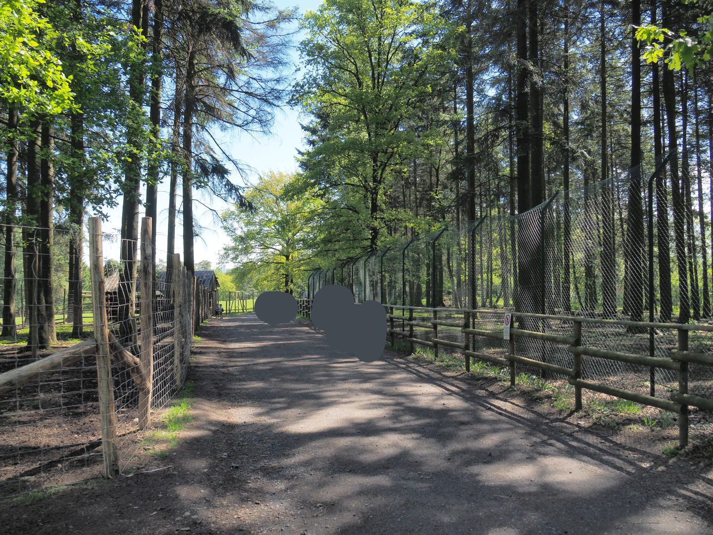 Trail between the Mackenzie Valley wolf exhibits and the Sika deer/Yak/Llama paddock, 2021-05-29