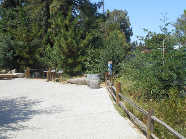 trail between viewpoints of Sea Lion Cove