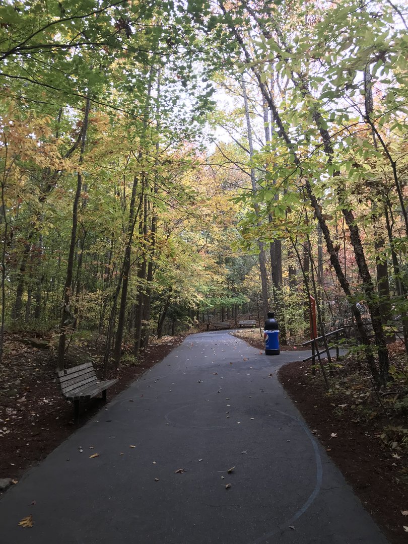 Trail by Streamside in Autumn