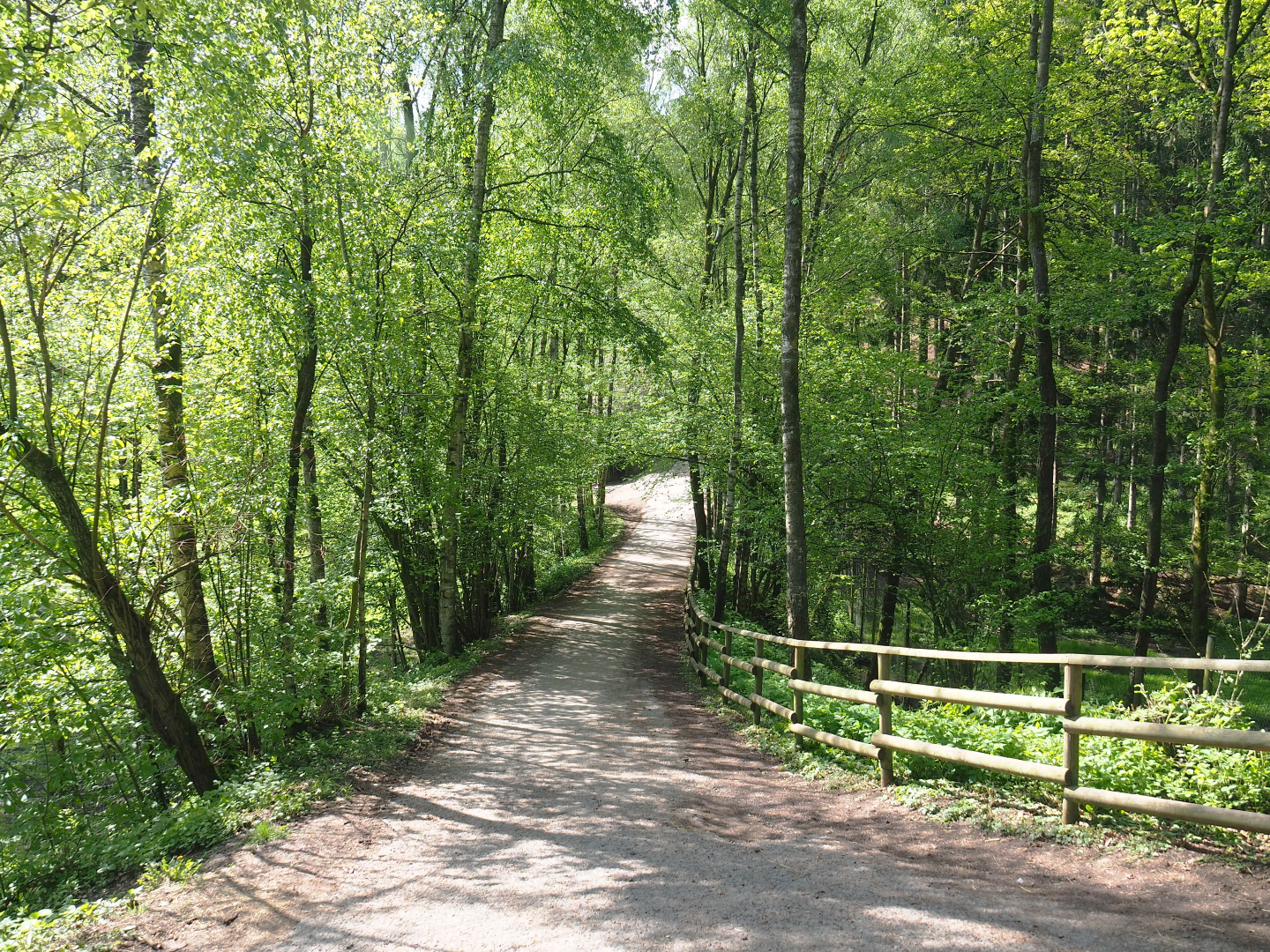 Trail from the Alpine and bison area to the moose exhibit, alongside the Eurasian brown bear forest, 2021-05-29
