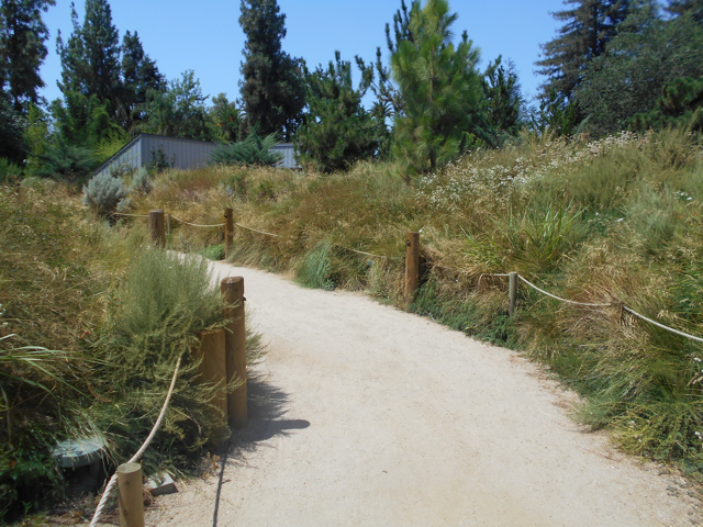 Trail into sea lion exhibit