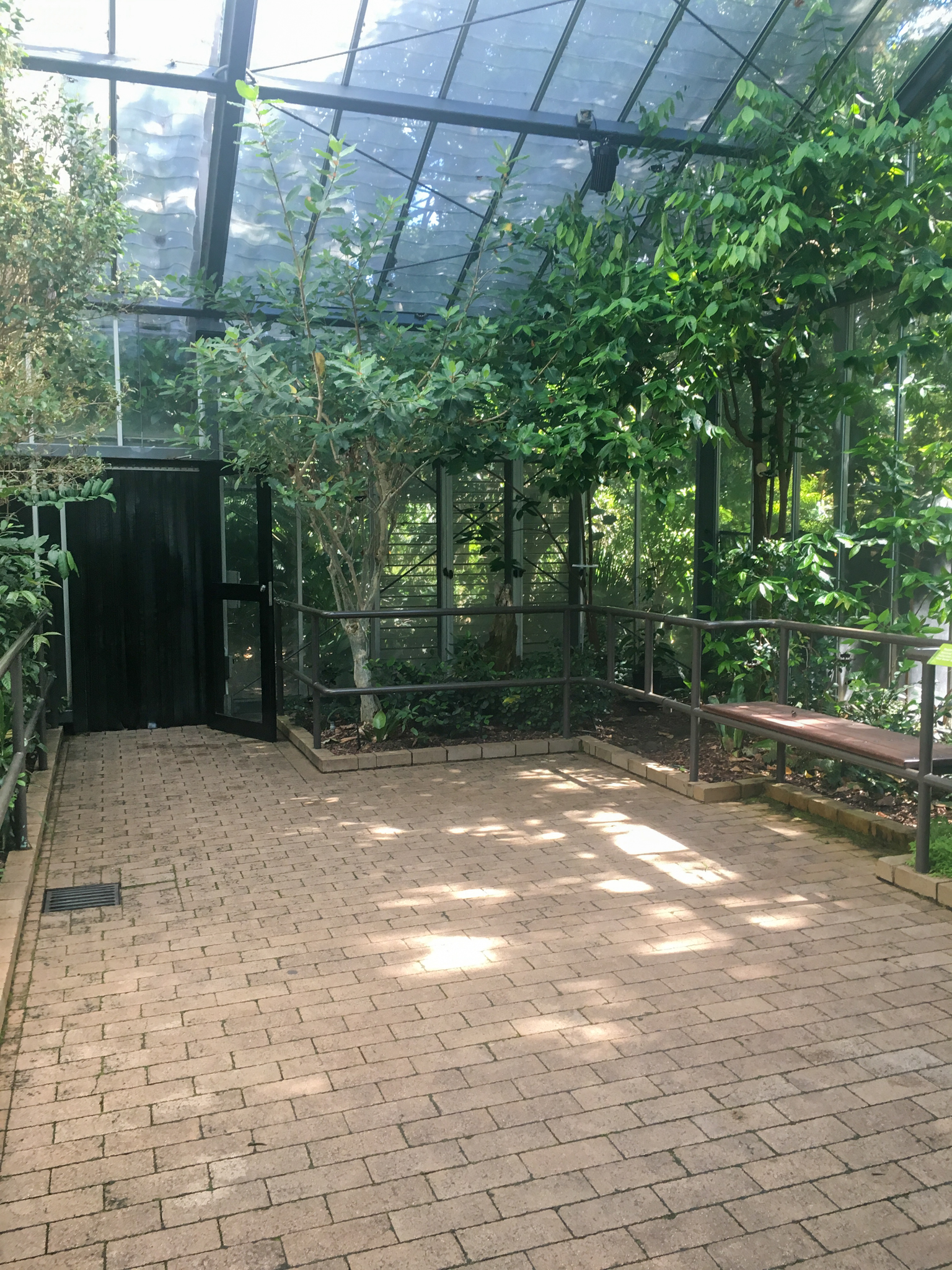Trail of the Elephants - Butterfly House - December 2018
