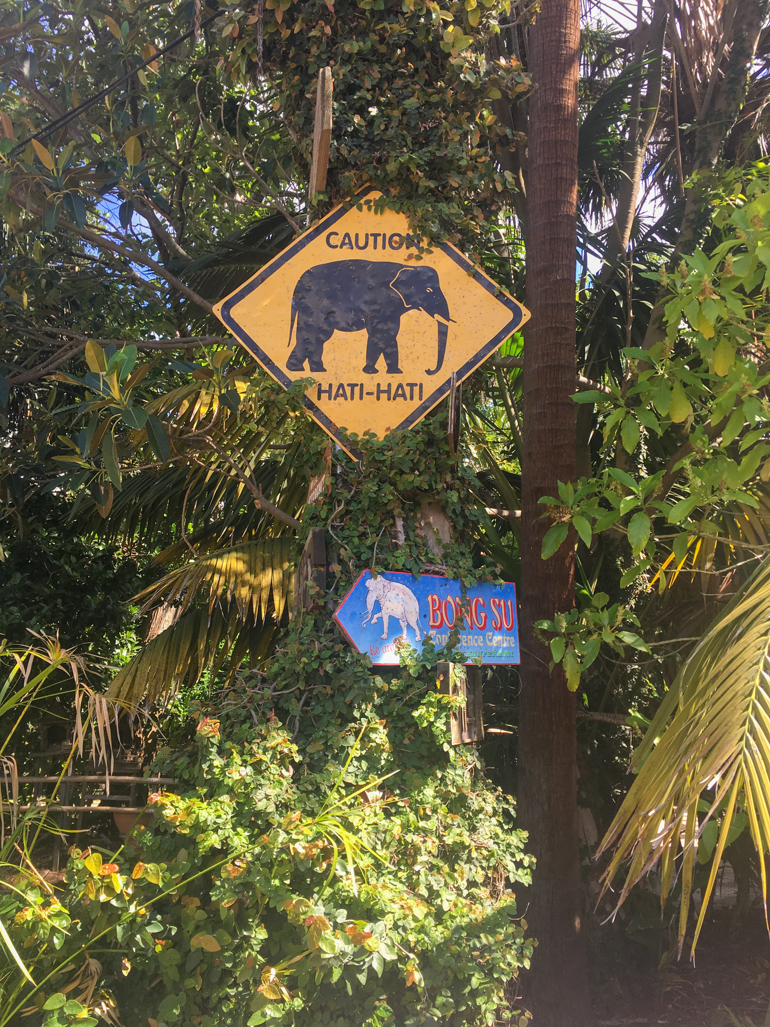 Trail of the Elephants - Elephant Theming  - December 2018