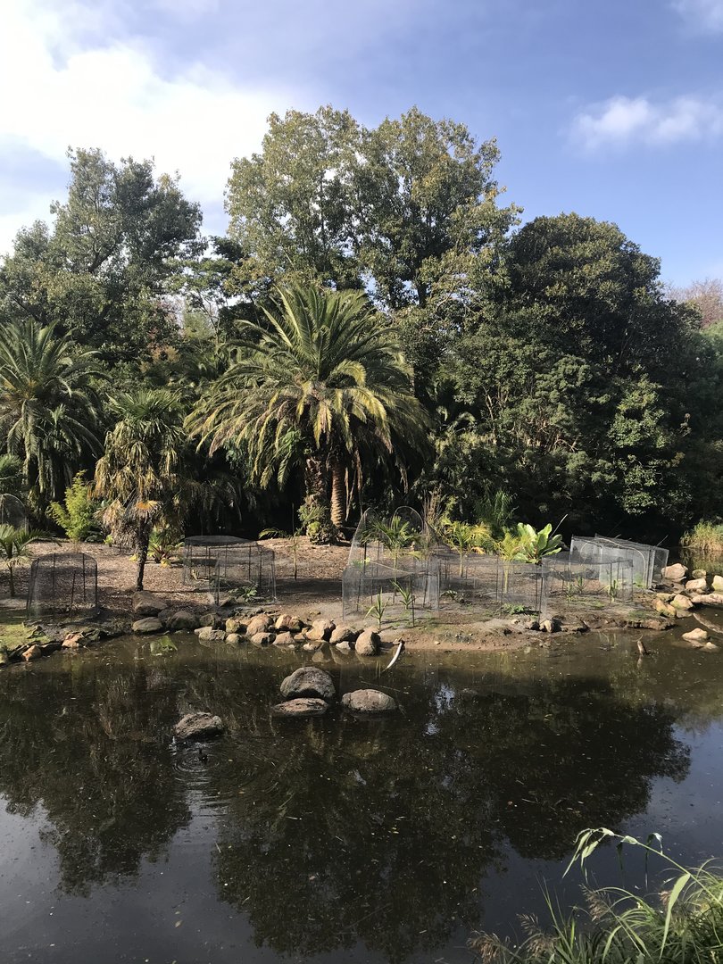 Trail of the elephants island