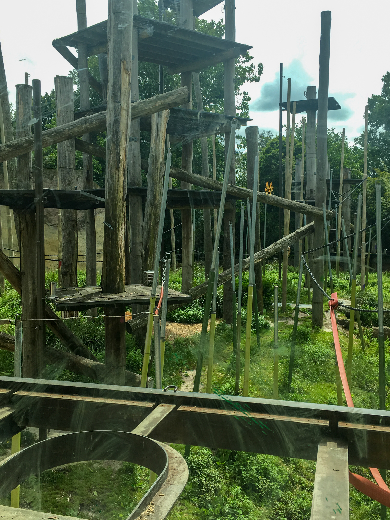 Trail of the Elephants - Main Orangutan Enclosure - December 2018