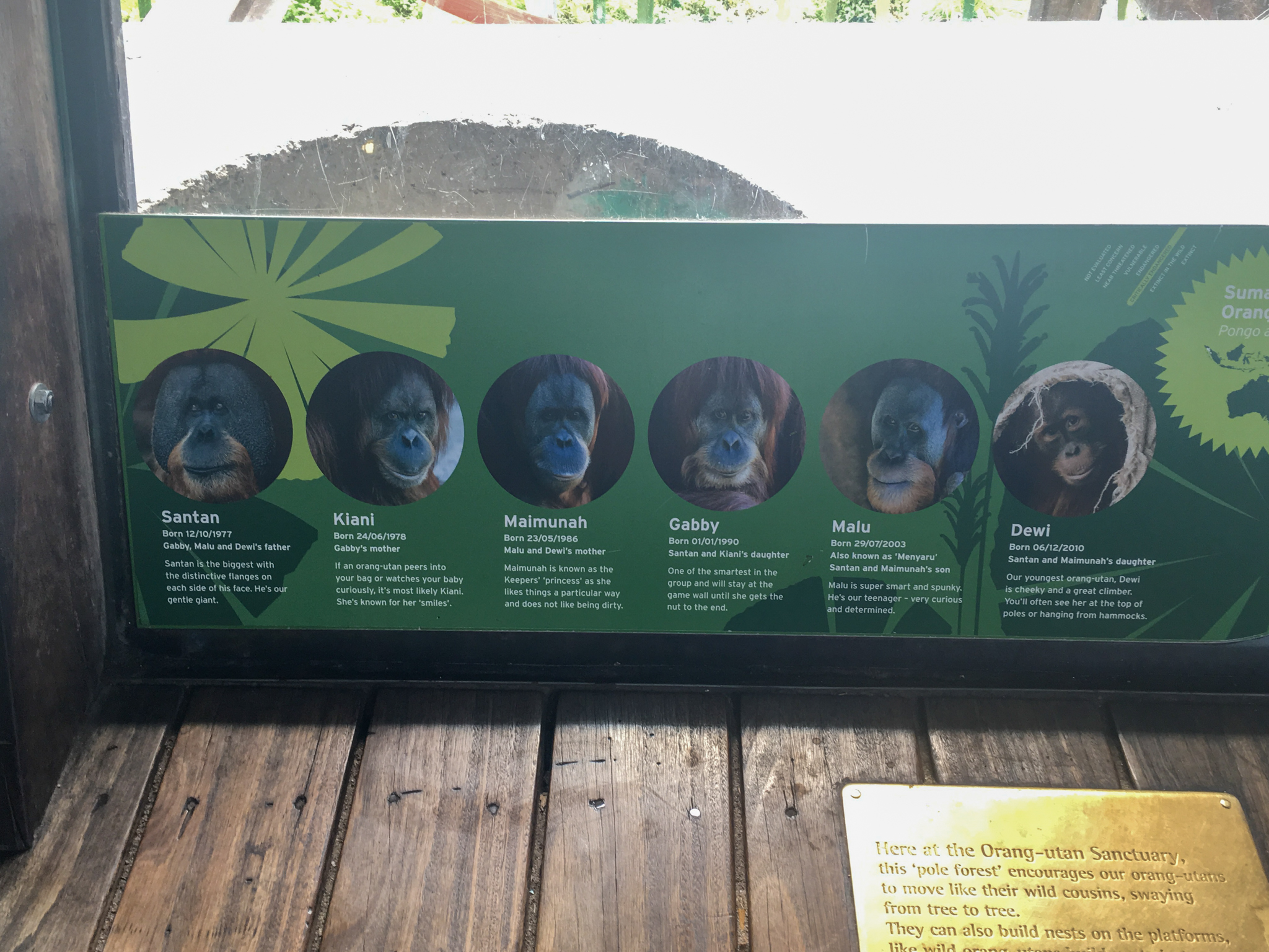 Trail of the Elephants - Orangutan Signage  - December 2018