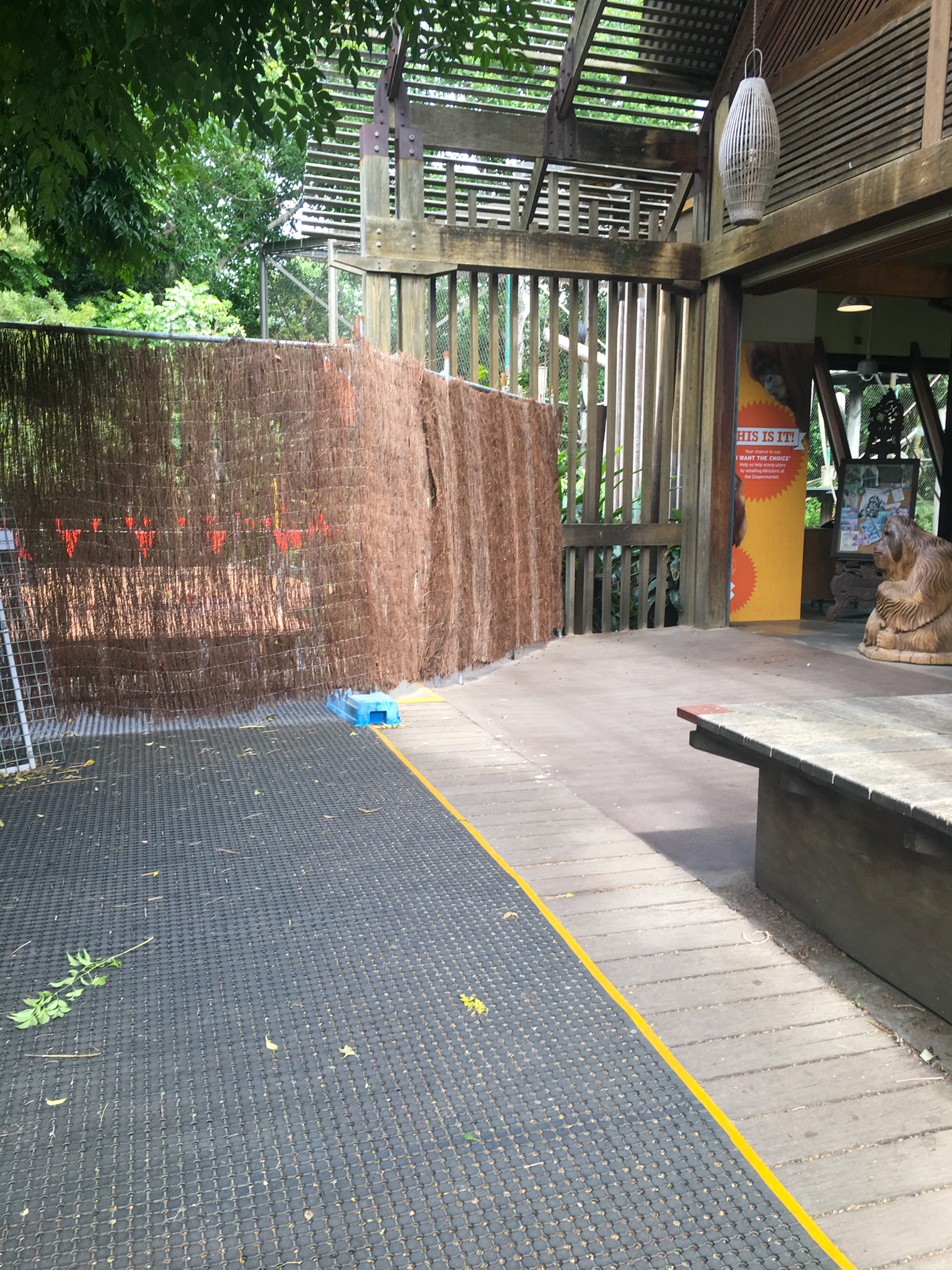Trail of the Elephants - Pathway Along Orangutan Enclosure - December 2018