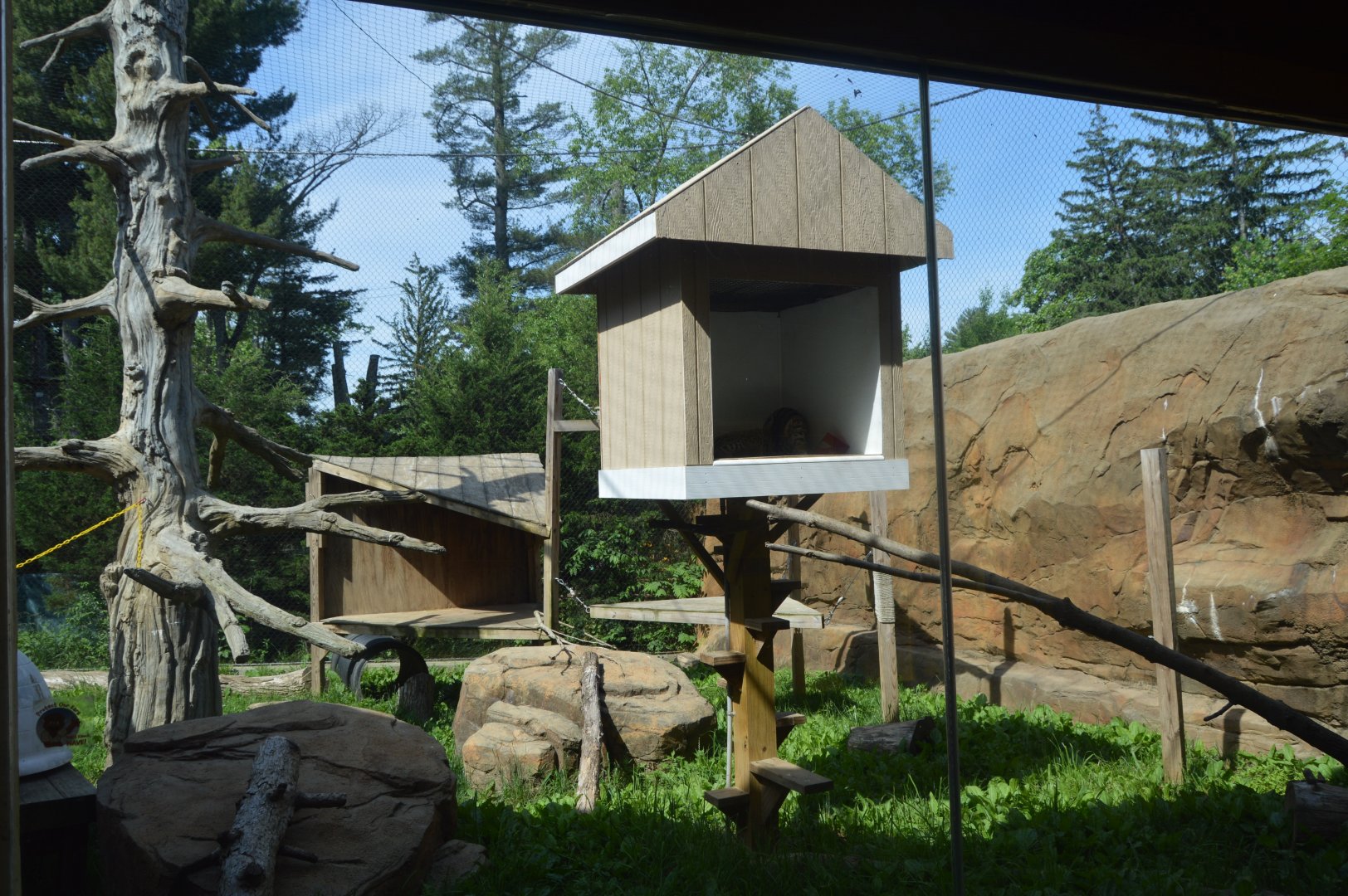 Trail of the Jaguar - Small Cat Rotational Exhibit