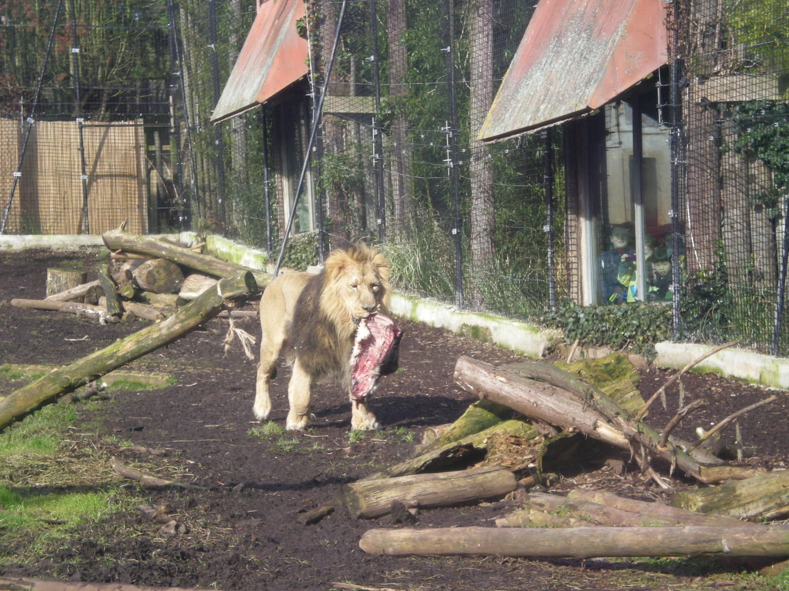 Trail of the Kings February 2010