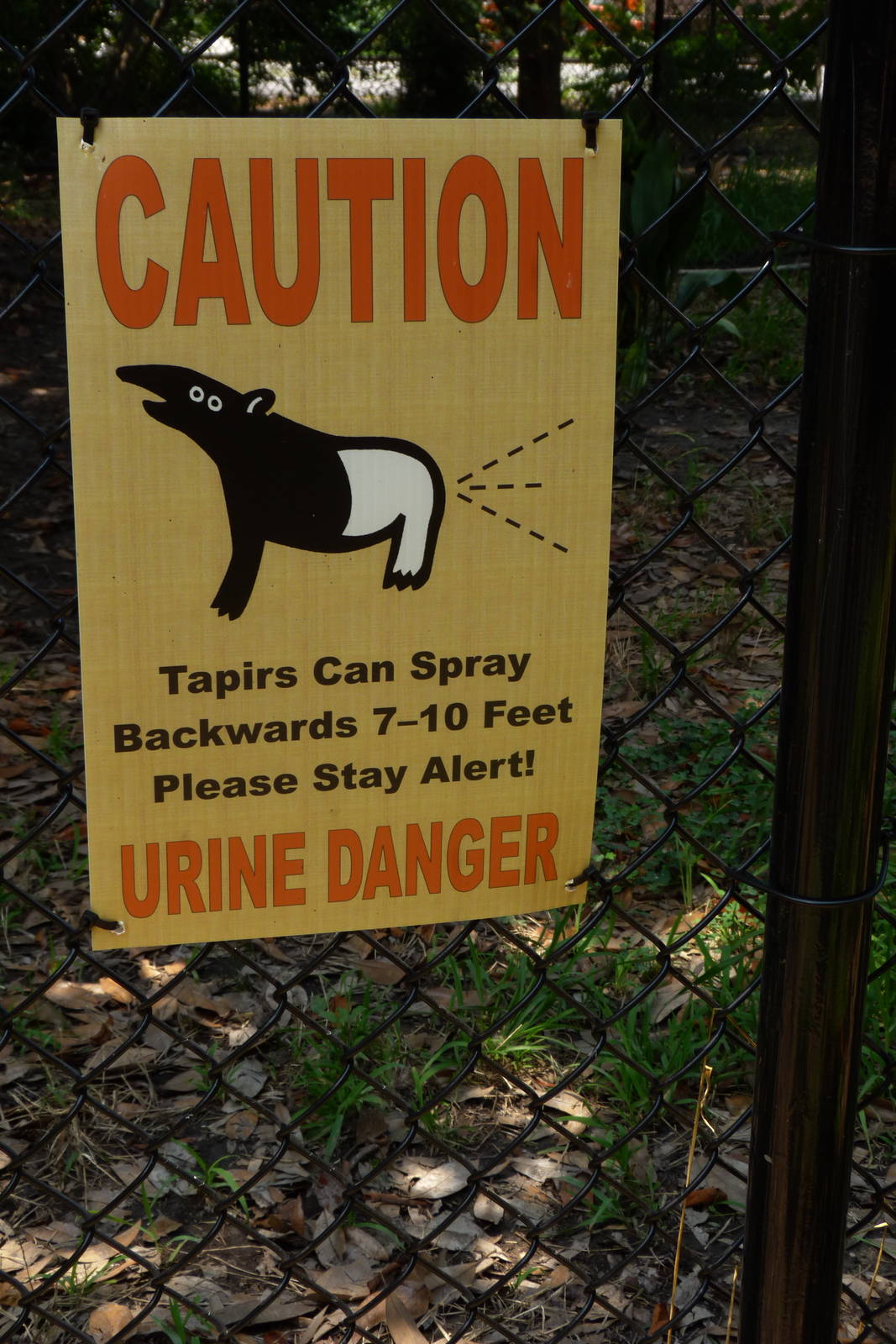 Trail of the Tapir (7-17-12)