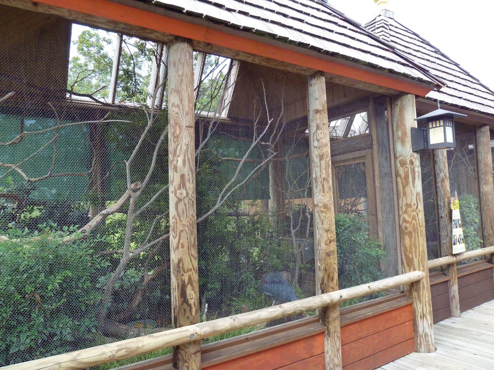 Trail of the Tiger - Bird Aviaries