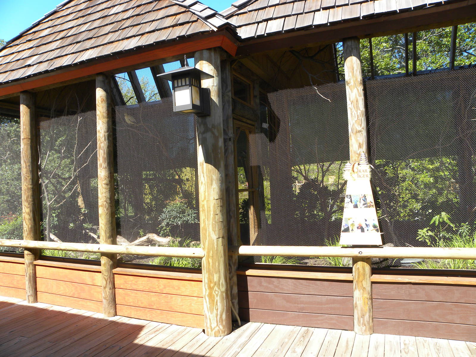 Trail of the Tiger: Birds of Paradise