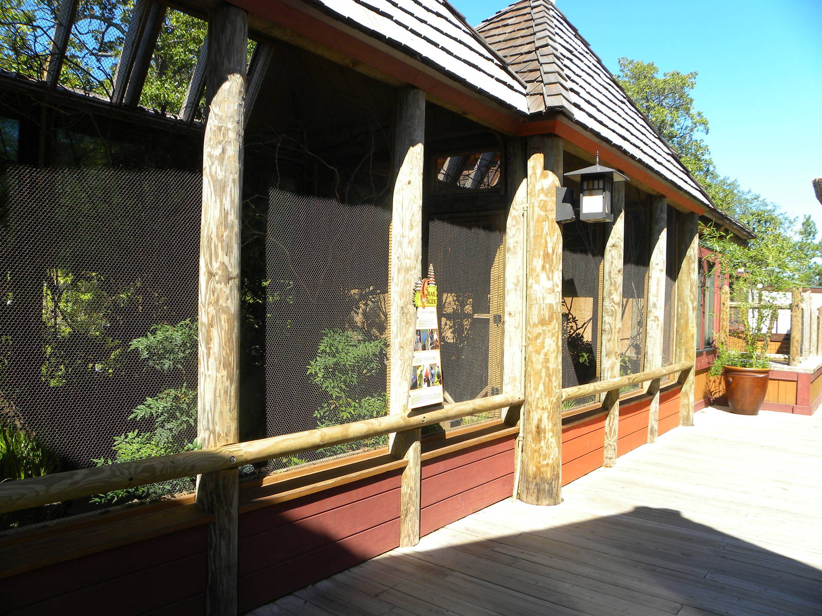 Trail of the Tiger: Birds of Paradise