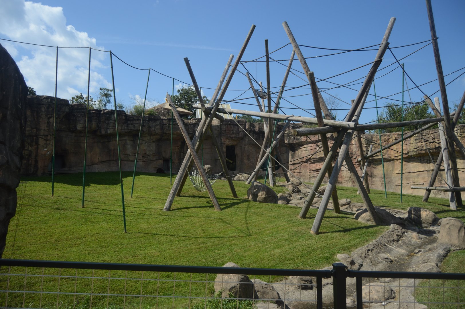 Trail of the Tiger - Bornean Orangutan (Pongo pygmaeus) Exhibit