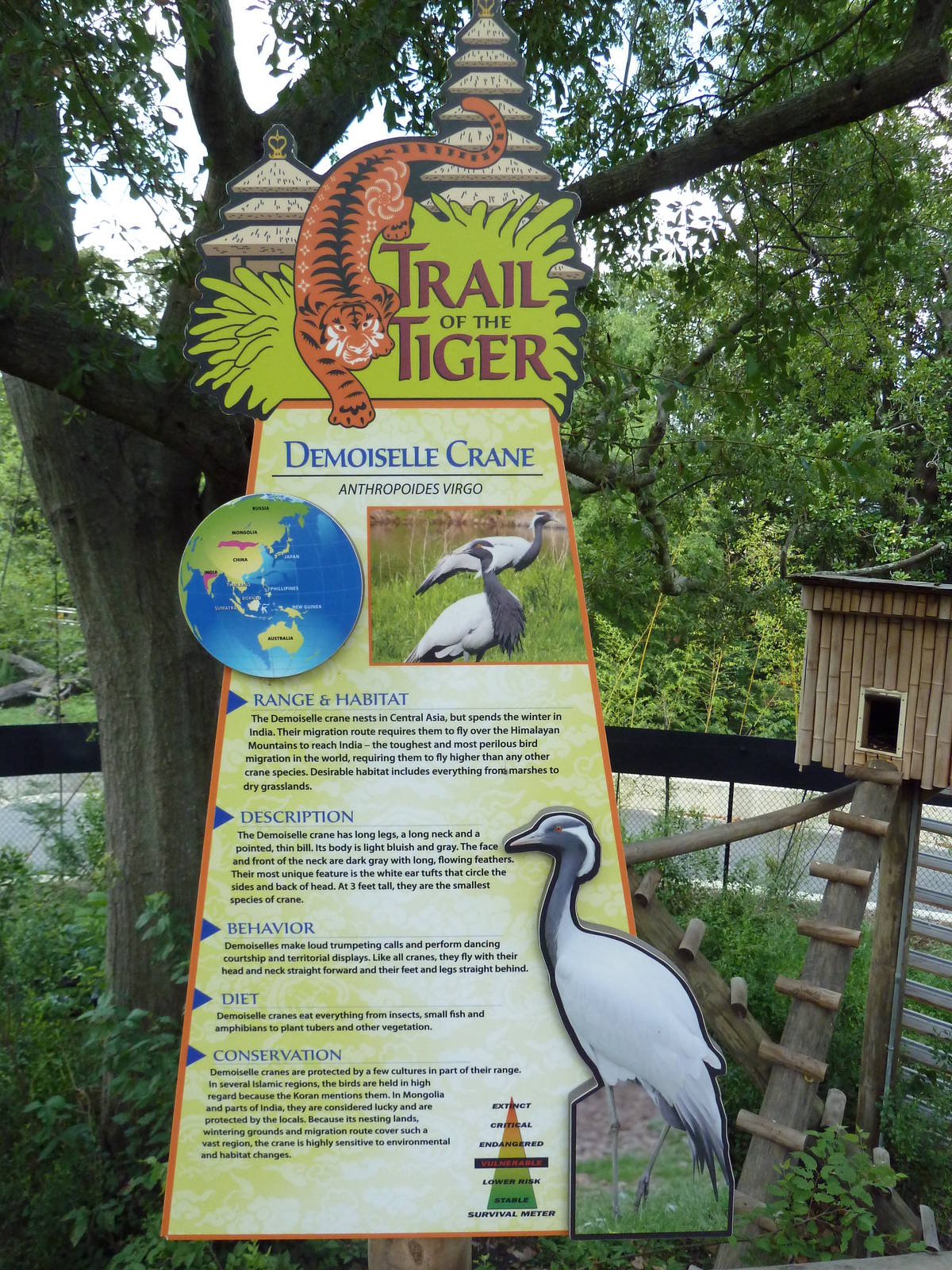 Trail of the Tiger - Demoiselle Crane Sign