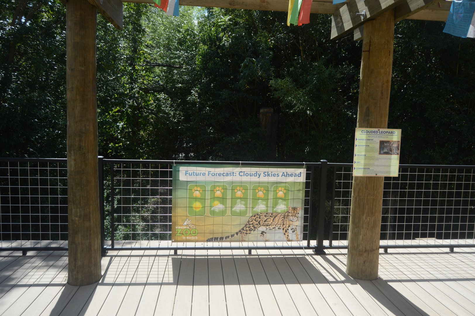 Trail of the Tiger - Future Clouded Leopard Exhibit