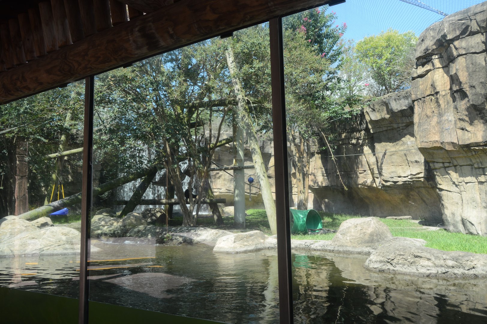 Trail of the Tiger - Gibbon/Otter Exhibt