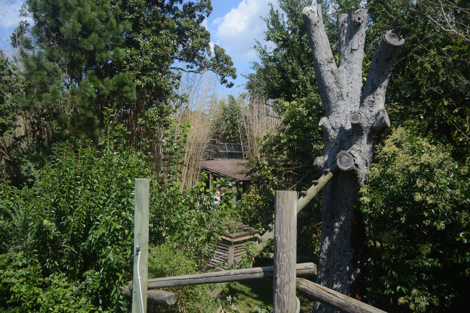 Trail of the Tiger - Landscape and Scenery