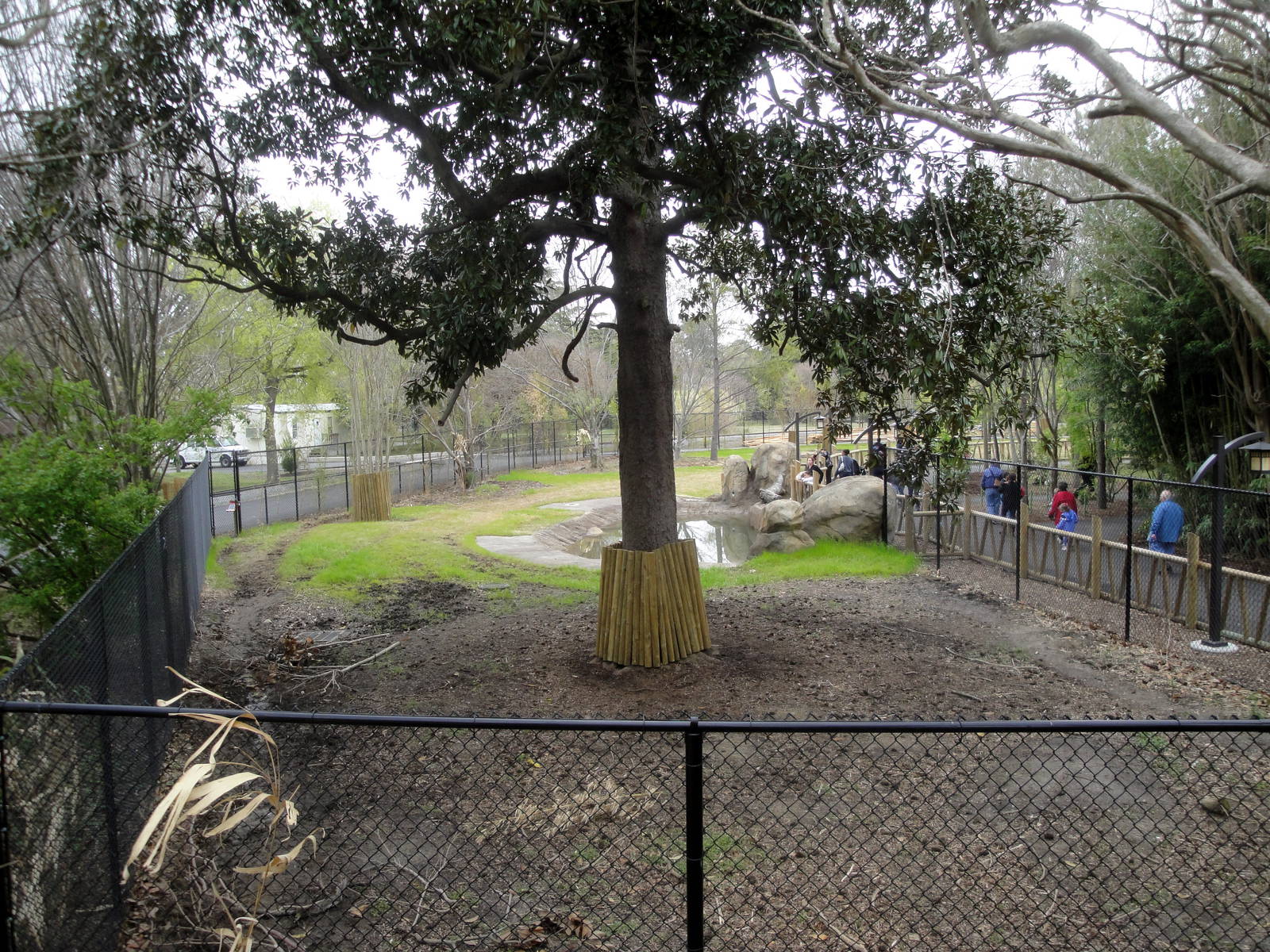 Trail of the Tiger - Malayan Tapir Exhibit
