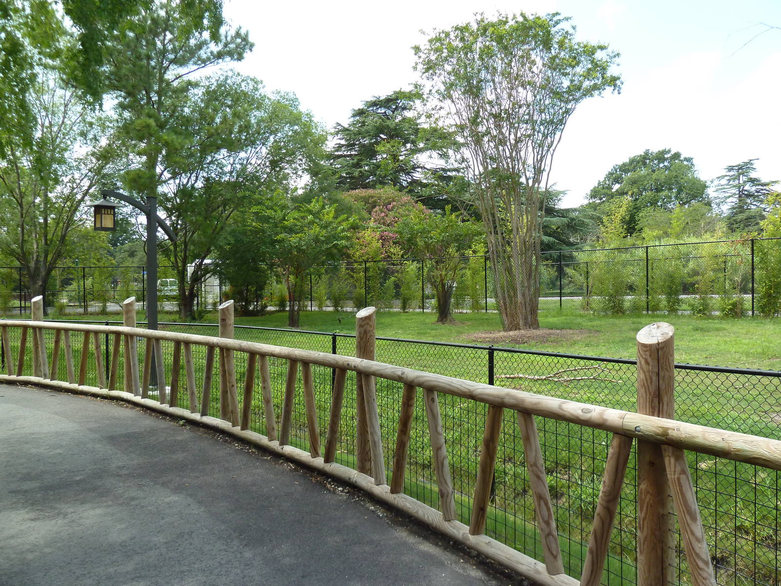 Trail of the Tiger - Malayan Tapir Exhibit