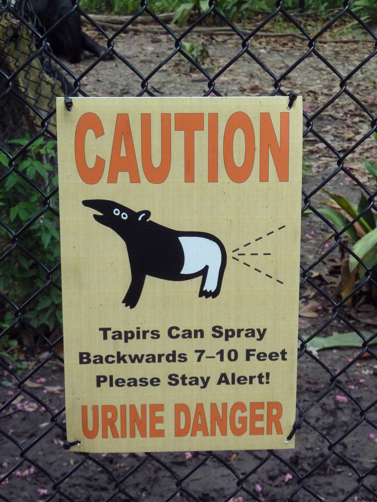 Trail of the Tiger - Malayan Tapir Sign