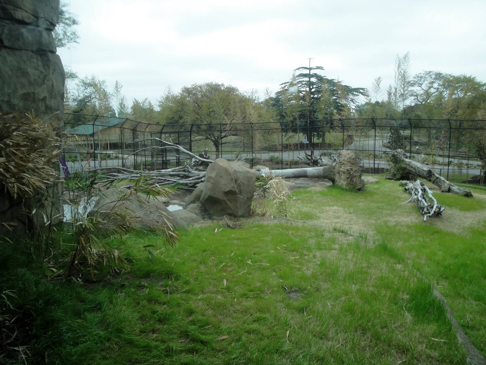 Trail of the Tiger - Malayan Tiger Exhibit