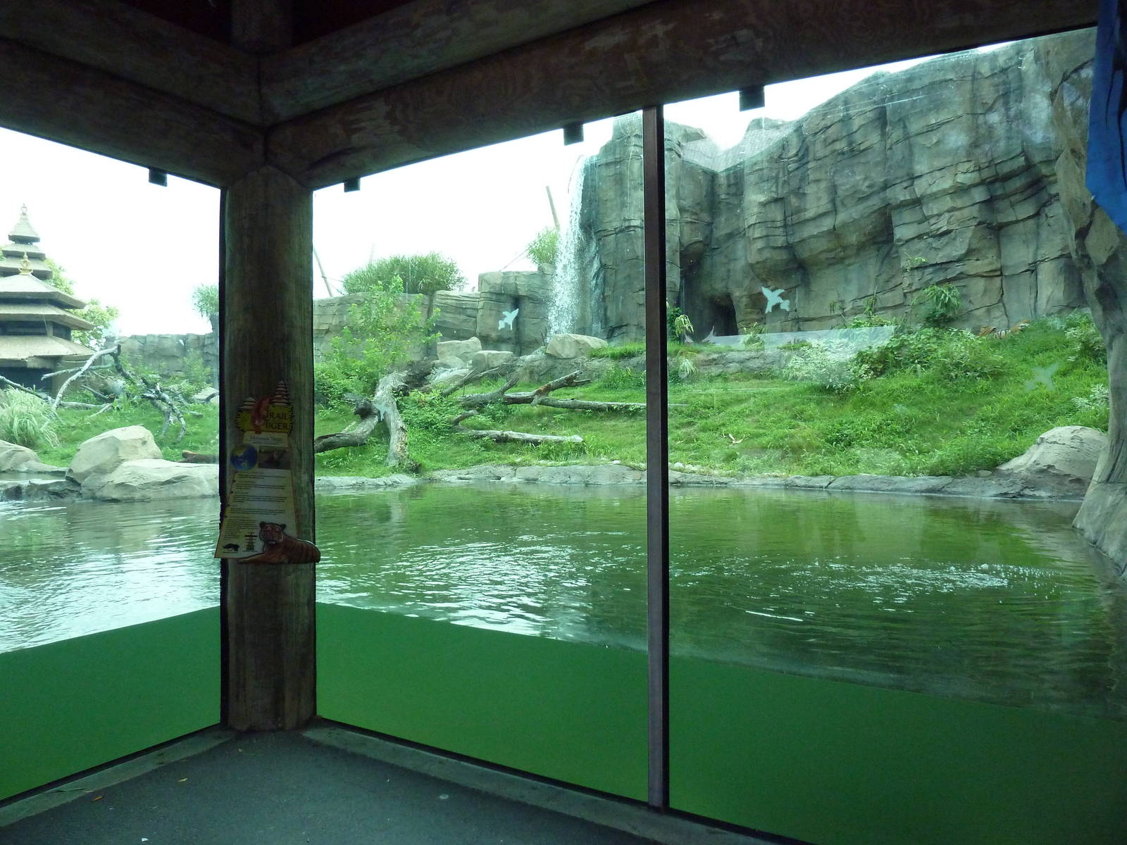 Trail of the Tiger - Malayan Tiger Exhibit