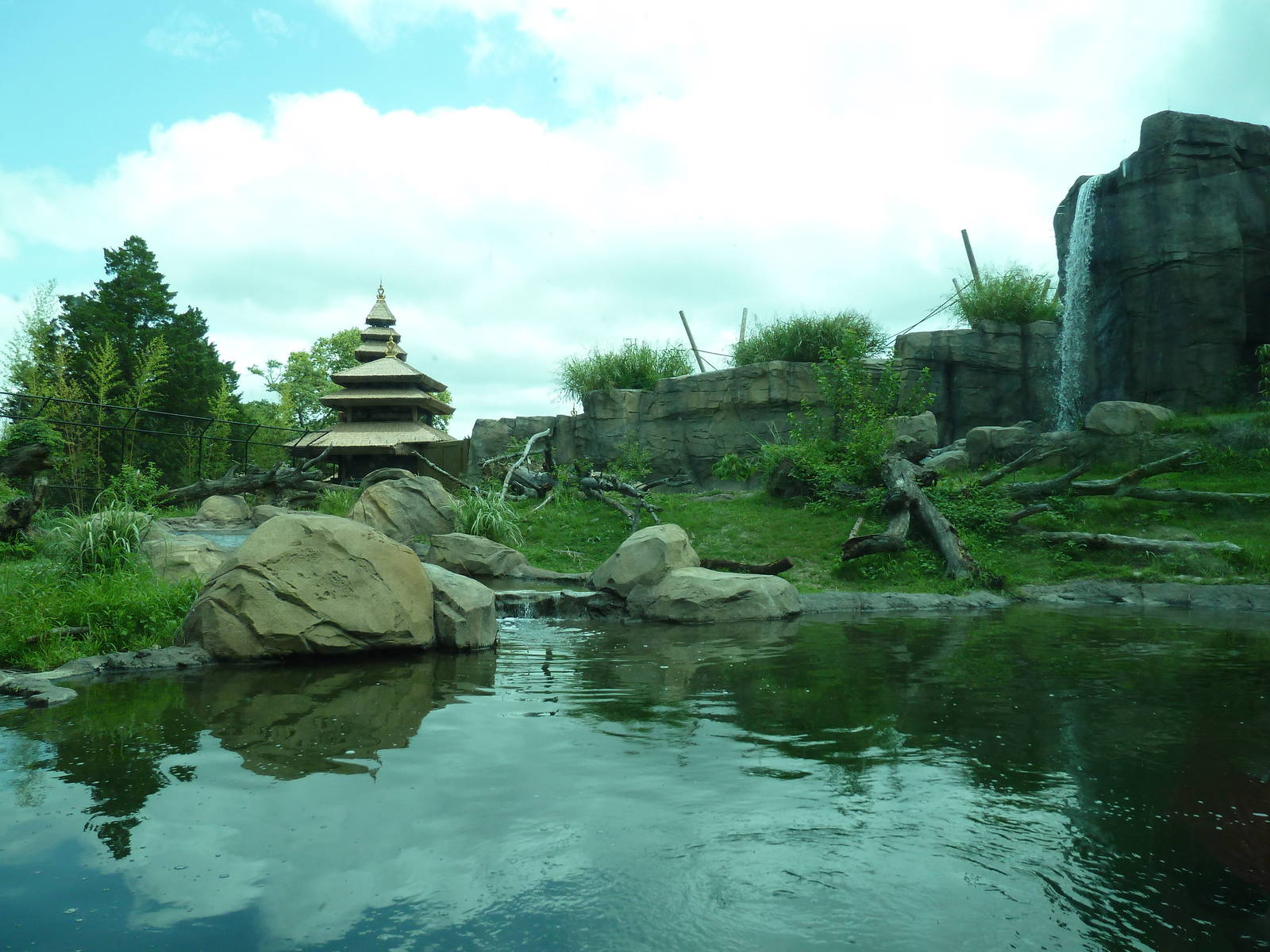 Trail of the Tiger - Malayan Tiger Exhibit