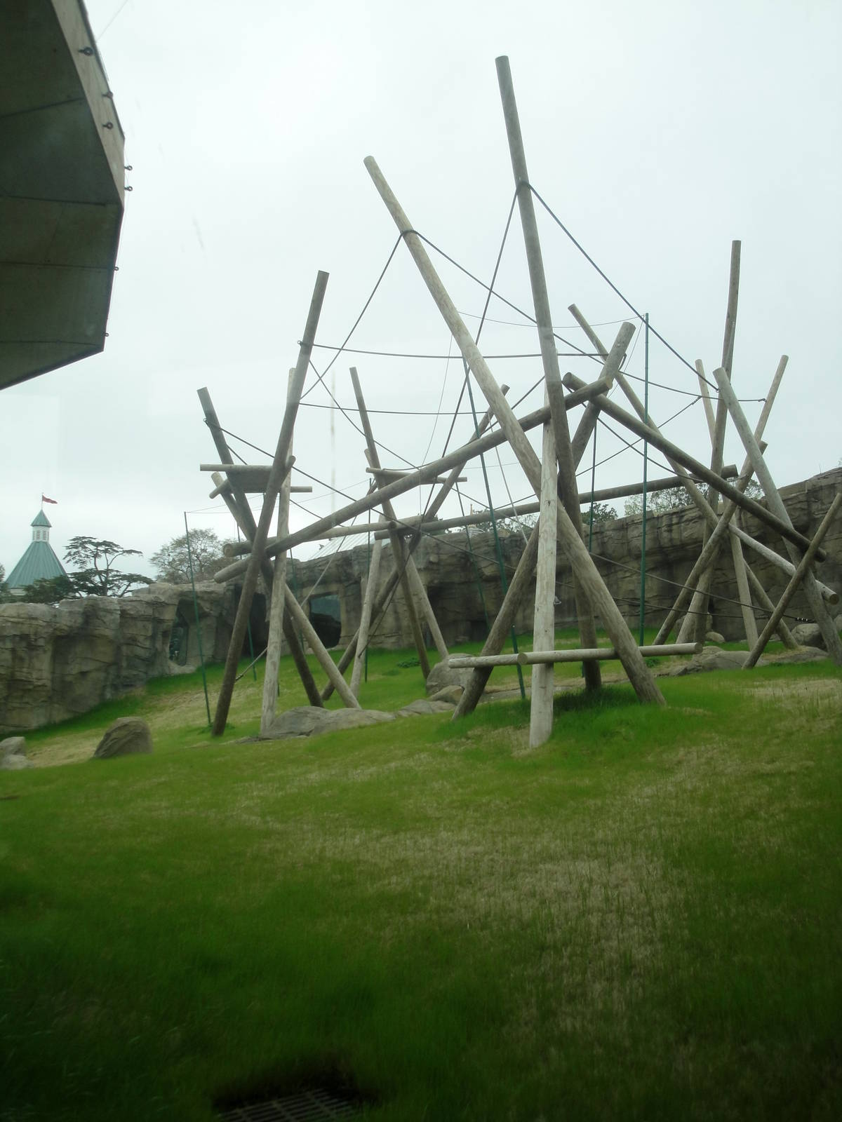 Trail of the Tiger - Orangutan Exhibit