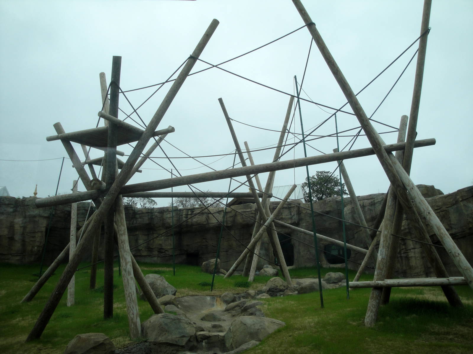 Trail of the Tiger - Orangutan Exhibit