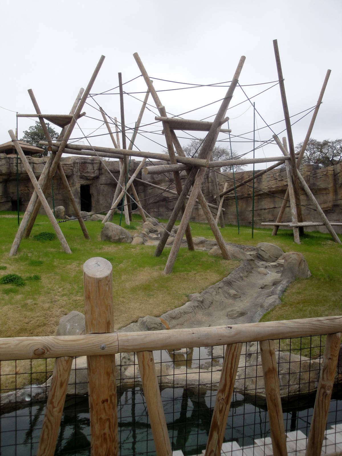 Trail of the Tiger - Orangutan Exhibit