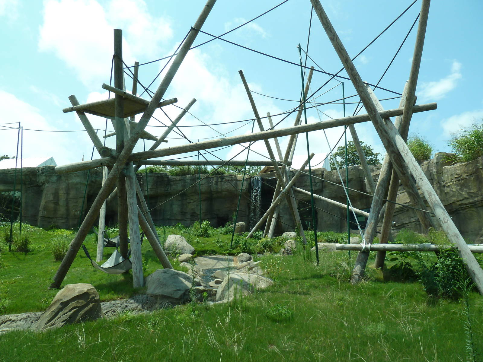 Trail of the Tiger - Orangutan Exhibit