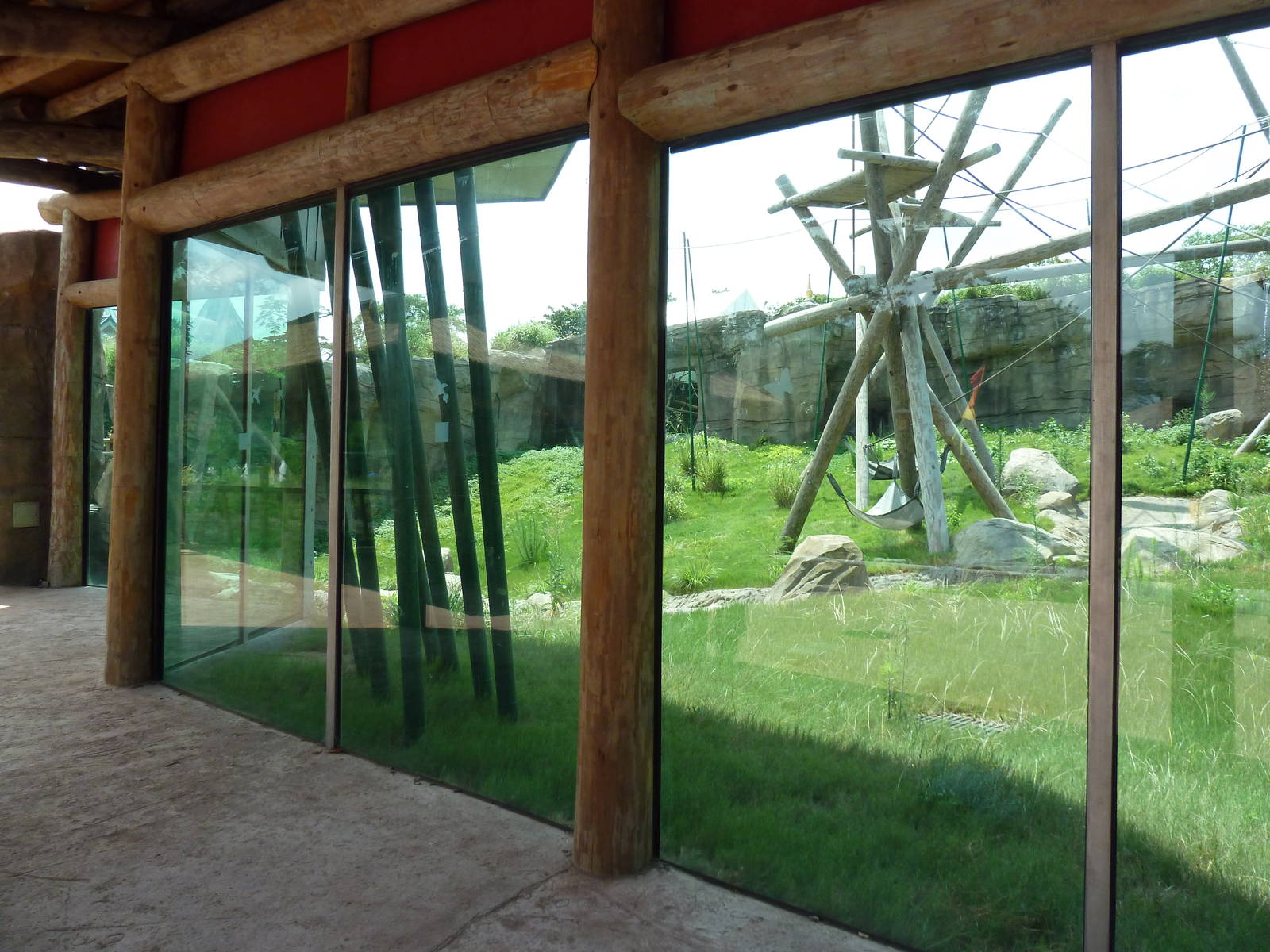 Trail of the Tiger - Orangutan Exhibit