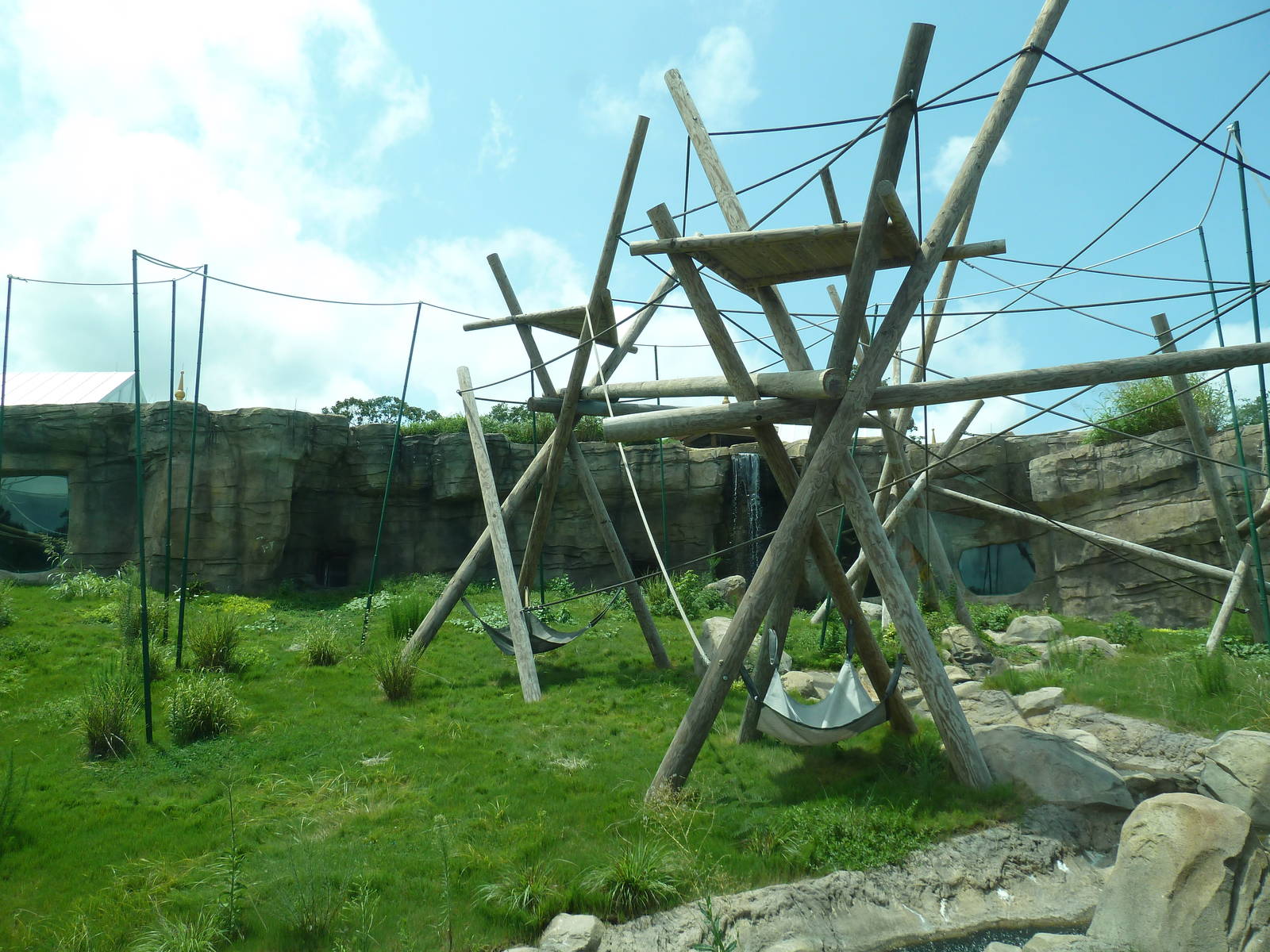 Trail of the Tiger - Orangutan Exhibit