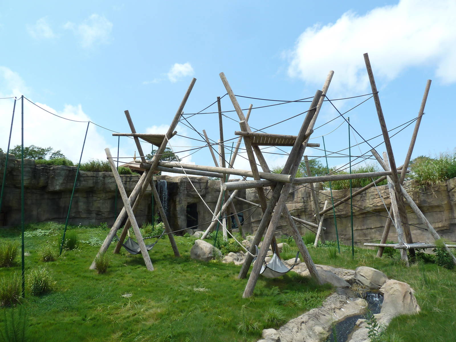 Trail of the Tiger - Orangutan Exhibit