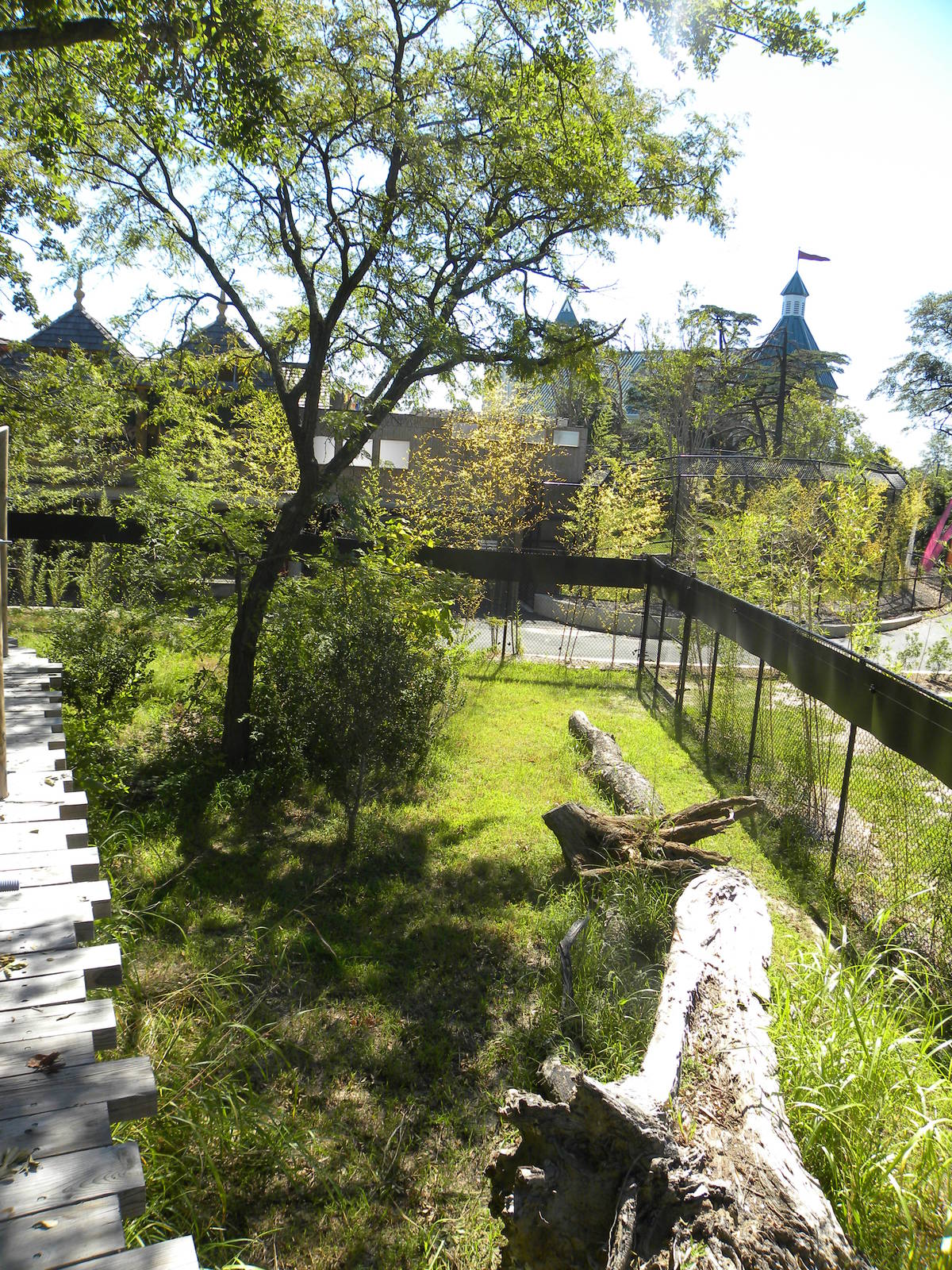 Trail of the Tiger: Red Panda/Demoiselle Crane Exhibit