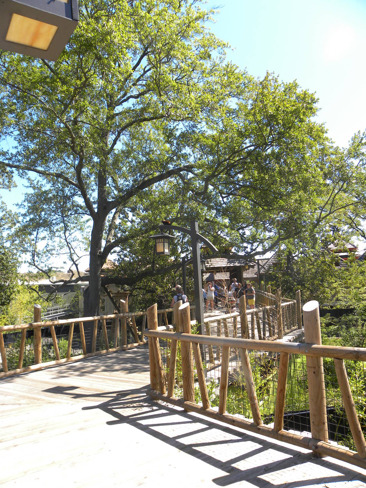 Trail of the Tiger: Red Panda/Demoiselle Crane Exhibit