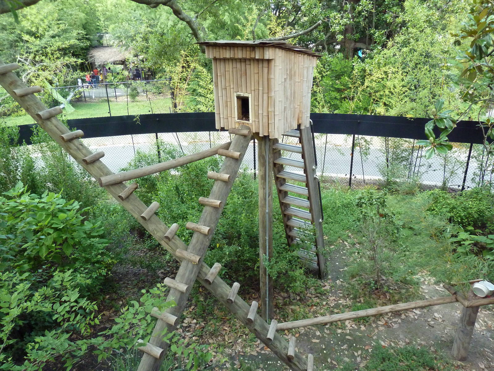 Trail of the Tiger - Red Panda/Demoiselle Crane Exhibit